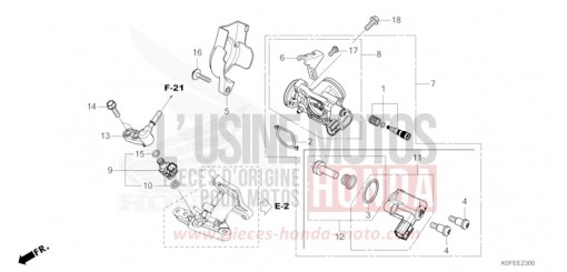 CORPS DE PAPILLON Z125MAS de 2025